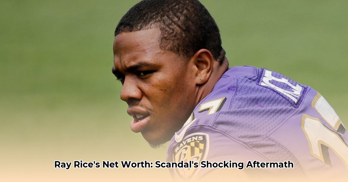 ray-rice-net-worth-2023